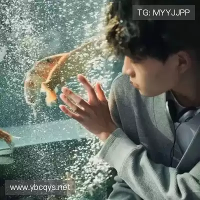 蓬盈晓